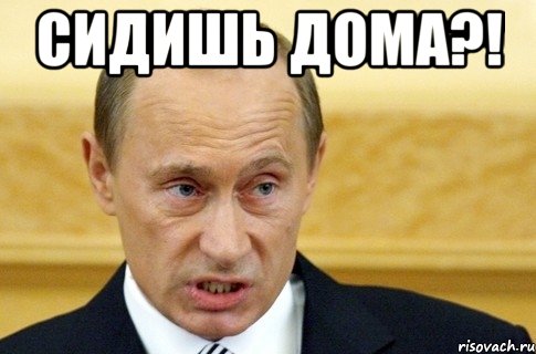 сидишь дома?! , Мем путин