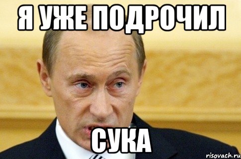 я уже подрочил сука, Мем путин