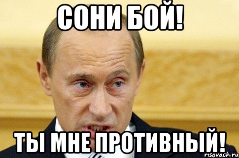 сони бой! ты мне противный!, Мем путин