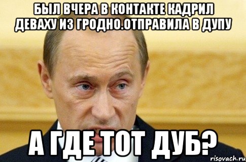 был вчера в контакте кадрил деваху из гродно.отправила в дупу а где тот дуб?, Мем путин