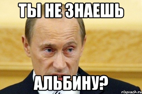 ты не знаешь альбину?, Мем путин