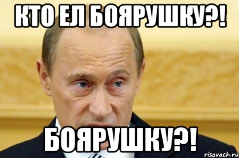 кто ел боярушку?! боярушку?!, Мем путин