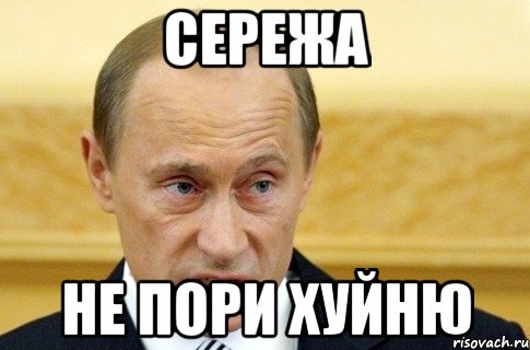 сережа не пори хуйню, Мем путин