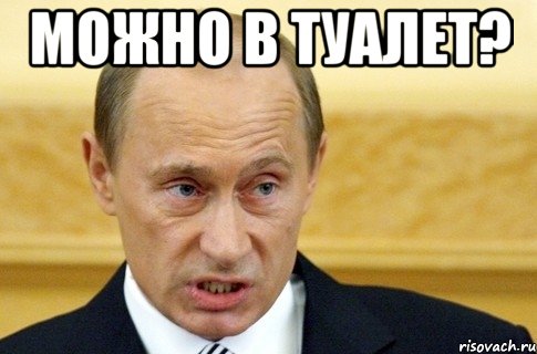 можно в туалет? , Мем путин