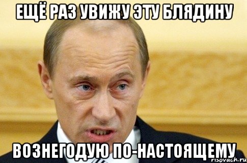 ещё раз увижу эту блядину вознегодую по-настоящему, Мем путин