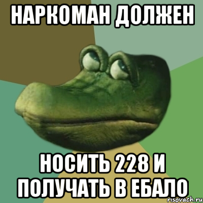 наркоман должен носить 228 и получать в ебало, Мем  Ракодил