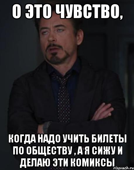 о это чувство, когда надо учить билеты по обществу , а я сижу и делаю эти комиксы, Мем твое выражение лица