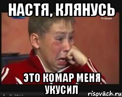 настя, клянусь это комар меня укусил