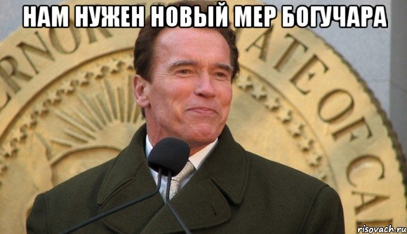 нам нужен новый мер богучара 