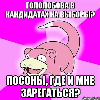 гололобова в кандидатах на выборы? посоны, где и мне зарегаться?, Мем слоупок