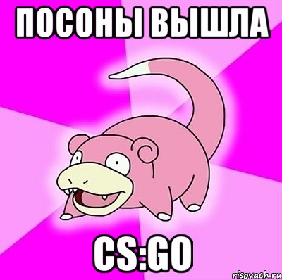 посоны вышла cs:go, Мем слоупок