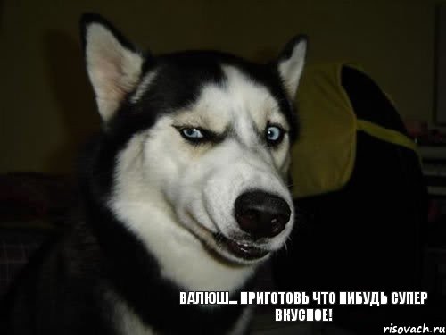 Валюш... приготовь что нибудь супер вкусное!, Комикс  Собака подозревака
