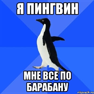 я пингвин мне все по барабану, Мем  Социально-неуклюжий пингвин