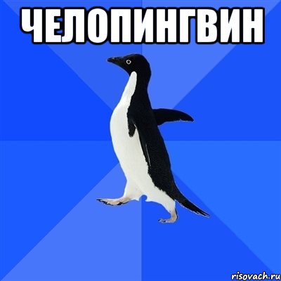 челопингвин , Мем  Социально-неуклюжий пингвин