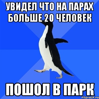 увидел что на парах больше 20 человек пошол в парк, Мем  Социально-неуклюжий пингвин