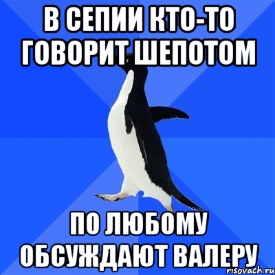 в сепии кто-то говорит шепотом по любому обсуждают валеру, Мем  Социально-неуклюжий пингвин