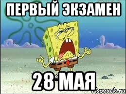 первый экзамен 28 мая, Мем Спанч Боб плачет