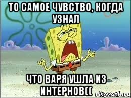 то самое чувство, когда узнал что варя ушла из интернов((, Мем Спанч Боб плачет