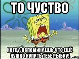 то чуство когда вспоминаешь что ещё нужно купить тебе рыбку!, Мем Спанч Боб плачет