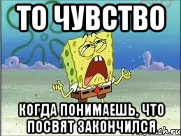 то чувство когда понимаешь, что посвят закончился, Мем Спанч Боб плачет