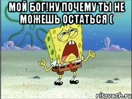 мой бог!ну почему ты не можешь остаться ( , Мем Спанч Боб плачет