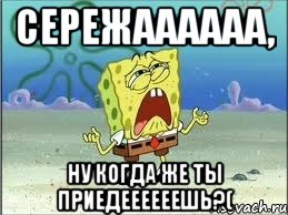 сережаааааа, ну когда же ты приедеееееешь?(