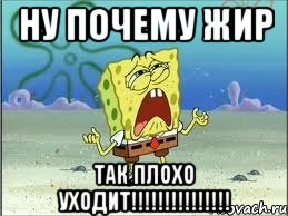 ну почему жир так плохо уходит!!!, Мем Спанч Боб плачет