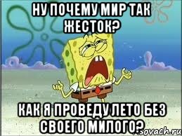 ну почему мир так жесток? как я проведу лето без своего милого?, Мем Спанч Боб плачет