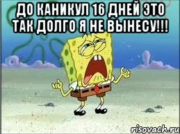 до каникул 16 дней это так долго я не вынесу!!! 