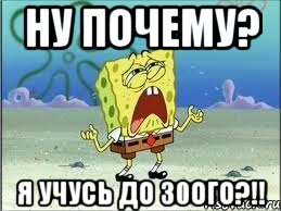 ну почему? я учусь до 30ого?!!, Мем Спанч Боб плачет