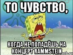 то чувство, когда не попадёшь на концерт rammstein