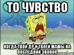 то чувство когда твой др и твоей мамы на последний звонок, Мем Спанч Боб плачет