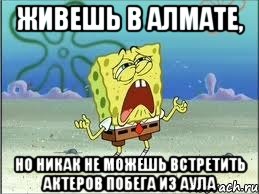 живешь в алмате, но никак не можешь встретить актеров побега из аула, Мем Спанч Боб плачет