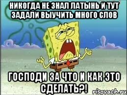 никогда не знал латынь и тут задали выучить много слов господи за что и как это сделать?!, Мем Спанч Боб плачет