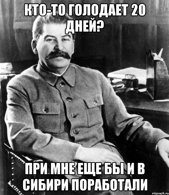 кто-то голодает 20 дней? при мне еще бы и в сибири поработали, Мем  иосиф сталин