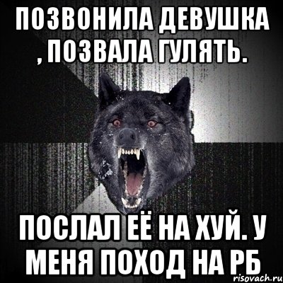 позвонила девушка , позвала гулять. послал её на хуй. у меня поход на рб, Мем Сумасшедший волк