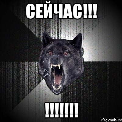 сейчас!!! !!!, Мем Сумасшедший волк