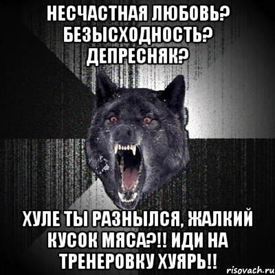 несчастная любовь? безысходность? депресняк? хуле ты разнылся, жалкий кусок мяса?!! иди на тренеровку хуярь!!, Мем Сумасшедший волк