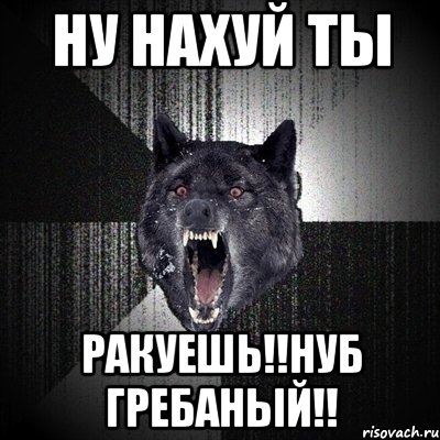 ну нахуй ты ракуешь!!нуб гребаный!!, Мем Сумасшедший волк