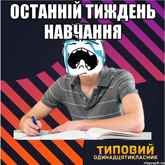 останній тиждень навчання , Мем Типовий одинадцятикласник