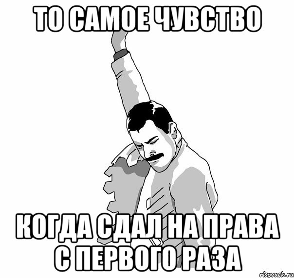 то самое чувство когда сдал на права с первого раза, Мем   Фрэдди Меркьюри (успех)