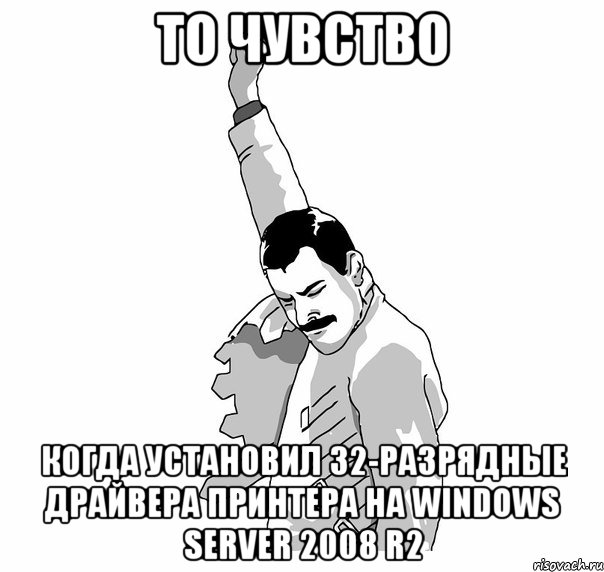 то чувство когда установил 32-разрядные драйвера принтера на windows server 2008 r2, Мем   Фрэдди Меркьюри (успех)