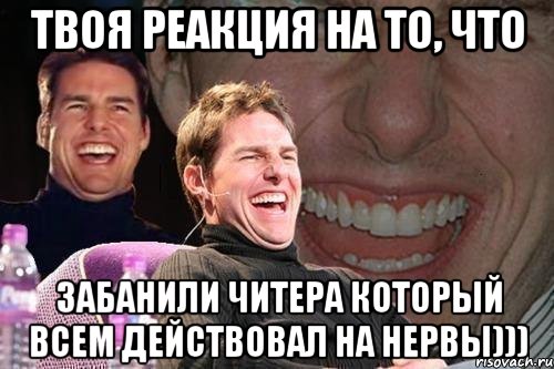 твоя реакция на то, что забанили читера который всем действовал на нервы))), Мем том круз