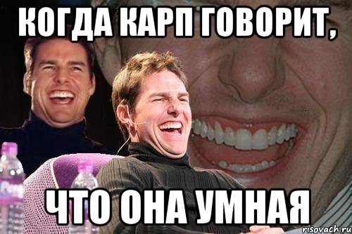 когда карп говорит, что она умная, Мем том круз