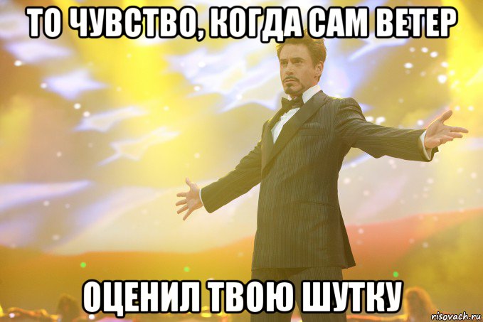 то чувство, когда сам ветер оценил твою шутку, Мем Тони Старк (Роберт Дауни младший)