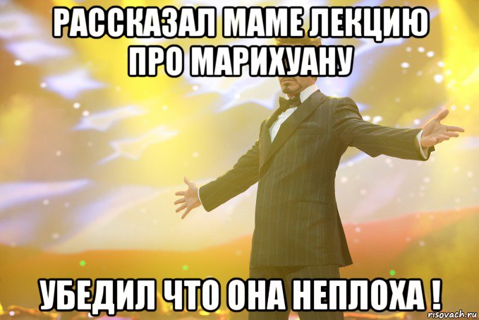 рассказал маме лекцию про марихуану убедил что она неплоха !, Мем Тони Старк (Роберт Дауни младший)