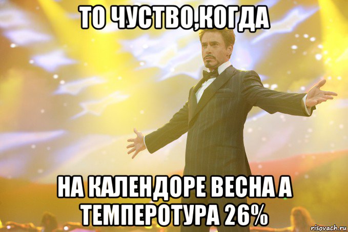 то чуство,когда на календоре весна а темперотура 26%, Мем Тони Старк (Роберт Дауни младший)