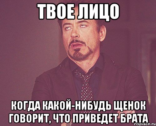 твое лицо когда какой-нибудь щенок говорит, что приведет брата, Мем твое выражение лица