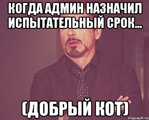 когда админ назначил испытательный срок... (добрый кот), Мем твое выражение лица