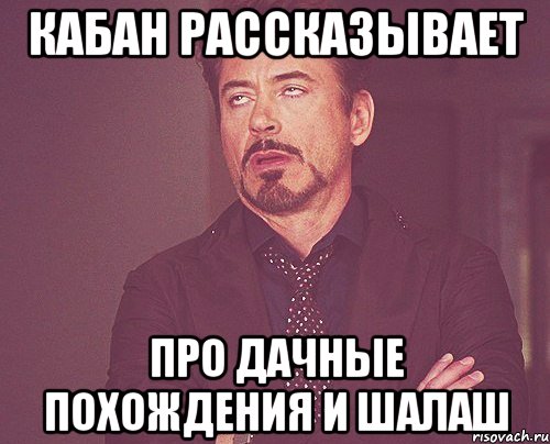 кабан рассказывает про дачные похождения и шалаш, Мем твое выражение лица